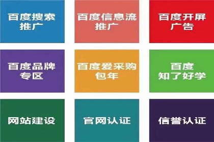 百度SEO推广案例：优化策略与效果对比