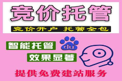 某SEM公司广告投放案例：创新广告形式的探索与实践